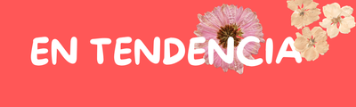 Banner Lateral